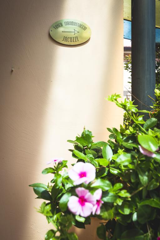 Hotel Sonia Forte dei Marmi Ngoại thất bức ảnh